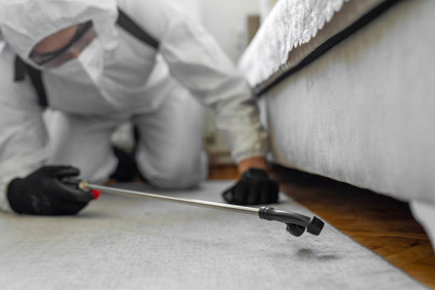 Professional Termite Control technician working in Selden, NY